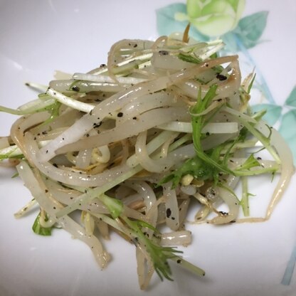 ごま油の風味ともやしのシャキシャキ食感がとても美味しかったです！